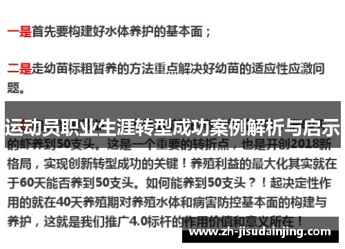 运动员职业生涯转型成功案例解析与启示
