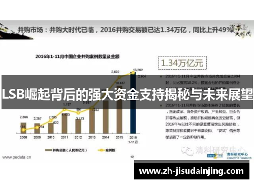 LSB崛起背后的强大资金支持揭秘与未来展望